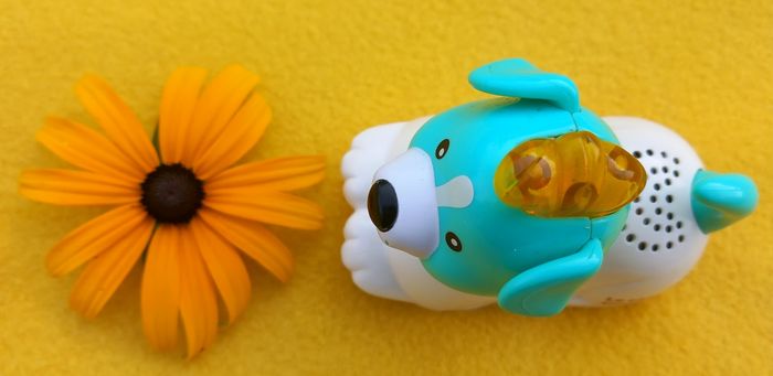 Tut Tut Animo Toutou 🐶 Vtech - photo numéro 6