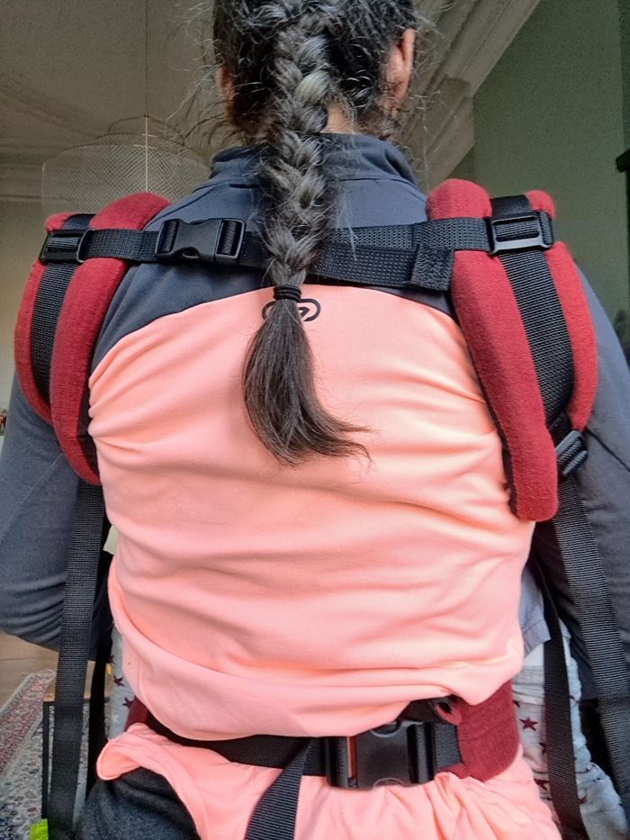 Hoodie carrier 2 - photo numéro 3