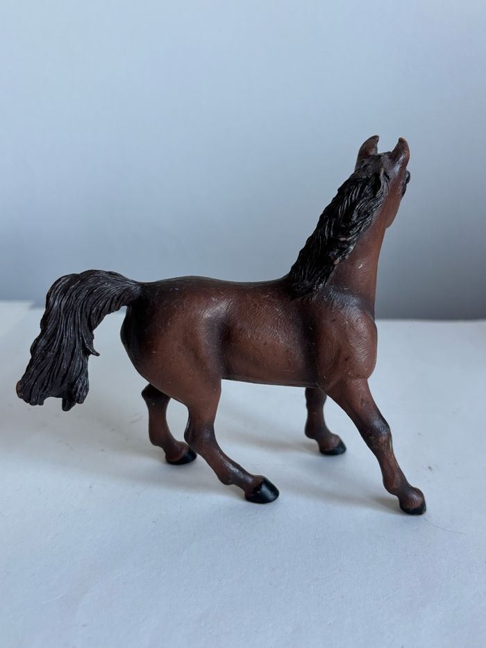 Jument papo - photo numéro 4