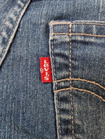 Jean Levi's
