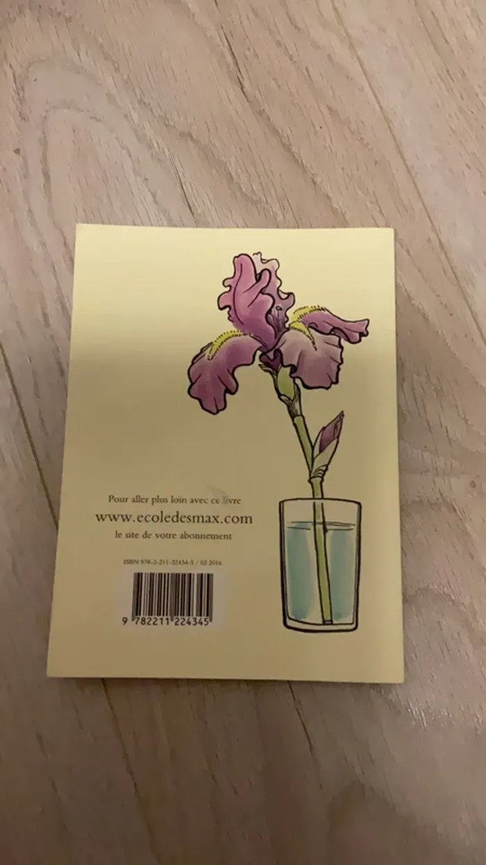 Livre enfant mouche - photo numéro 2