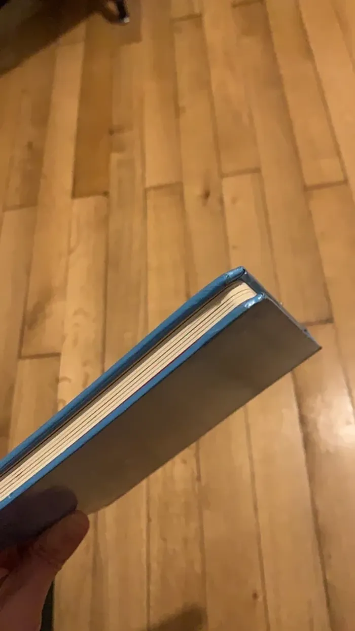 Livre petit ours brun sent tout - photo numéro 8