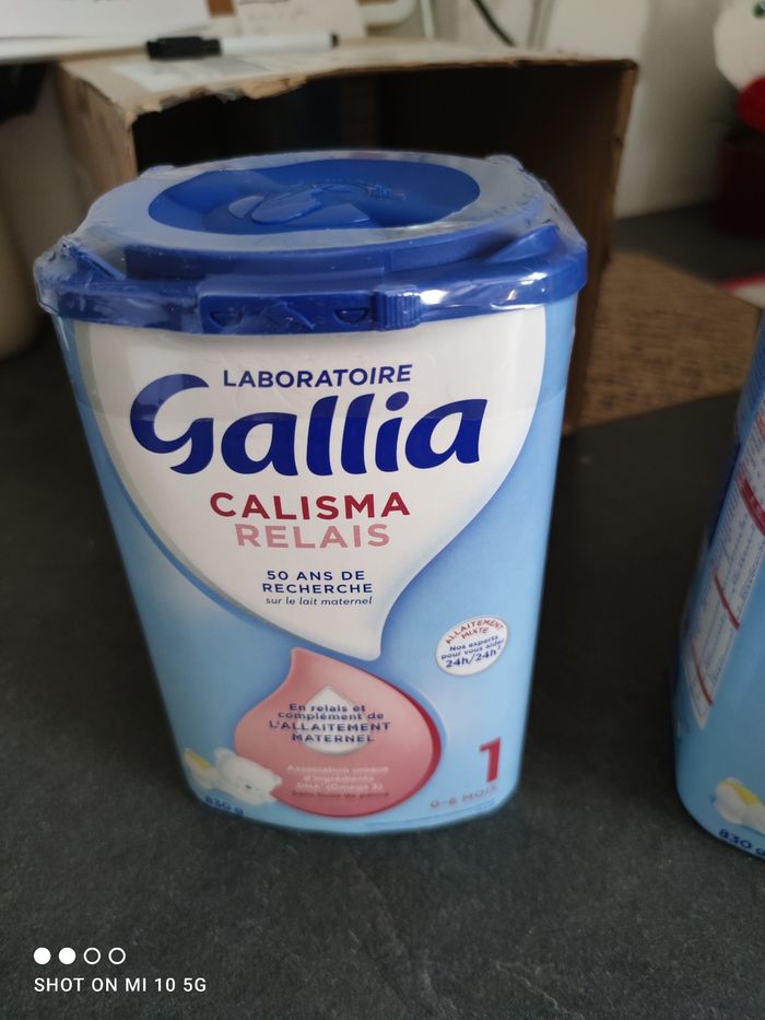 Gallia calisma - photo numéro 2
