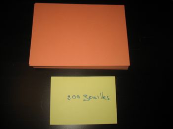 LOT DE 200 FEUILLES A4 - CORAIL - 120 GR - n°41