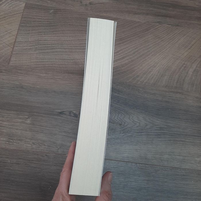 Livre Anna Caritas Le Carnage - photo numéro 4