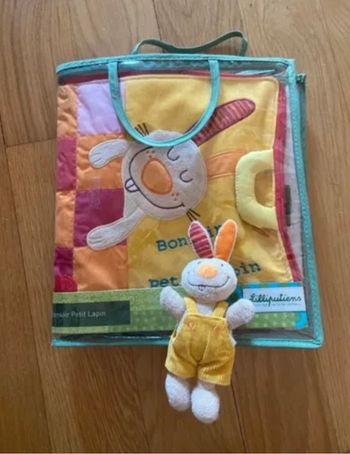 Livre Bonsoir petit lapin