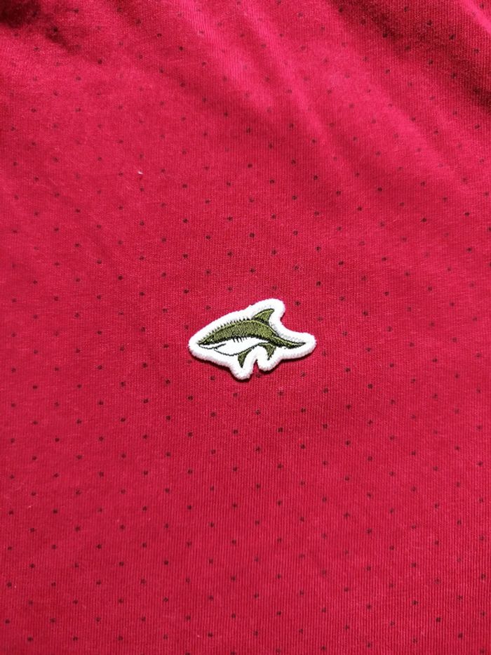 T-shirt Le Shark - photo numéro 4