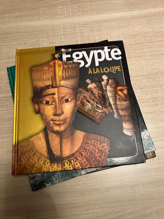 Lot de 6 livres « À la loupe » - photo numéro 5