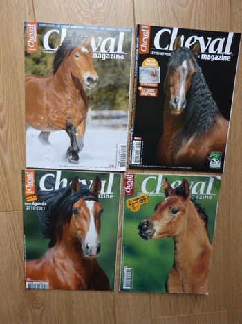 4 Cheval Magazine