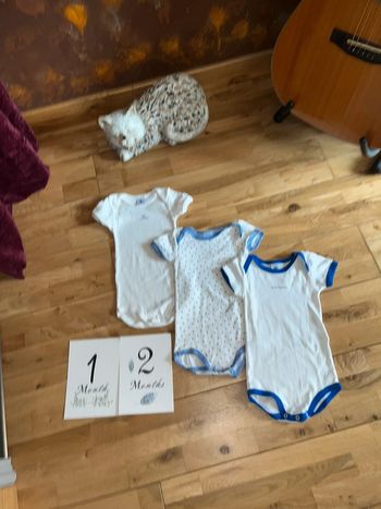 Lot de 3 bodys manches courtes petit bateau très bon état 12mois/74cm