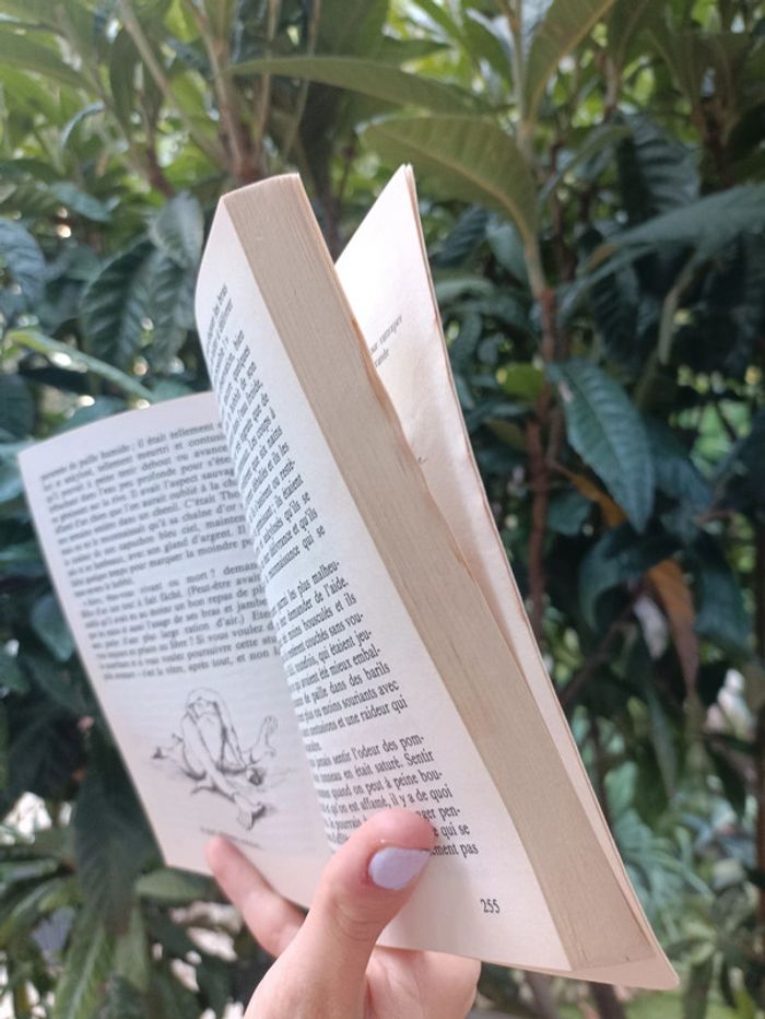 Livre Bilbo le Hobbit de J.R.R.Tolkien. - photo numéro 6