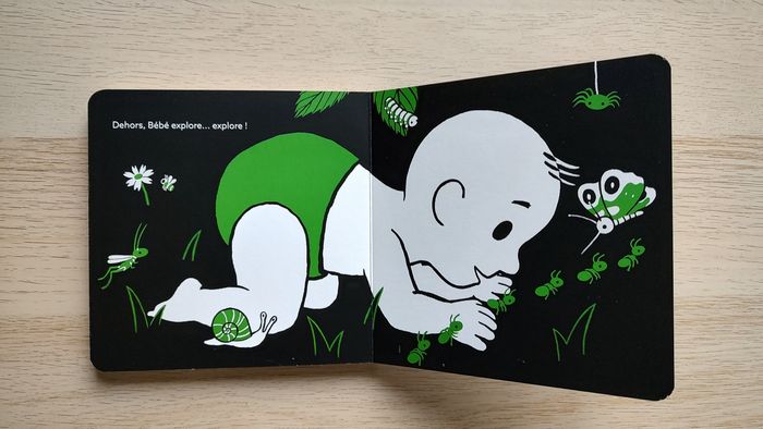 Livre "Les petites bêtes..." noir et blanc - photo numéro 3