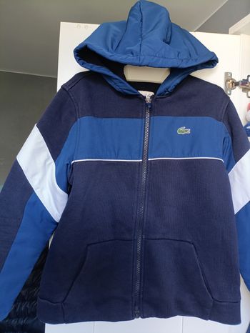 Gilet sweat lacoste