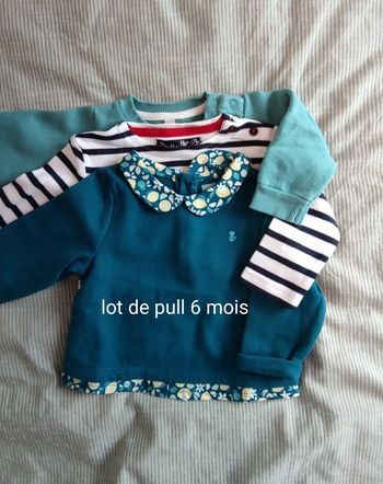 Lot de pulls
