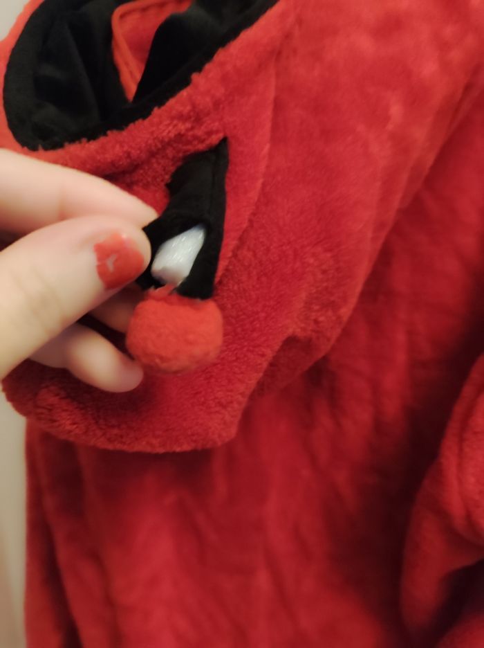 Pull forme coccinelle 🐞 5 ans - photo numéro 10