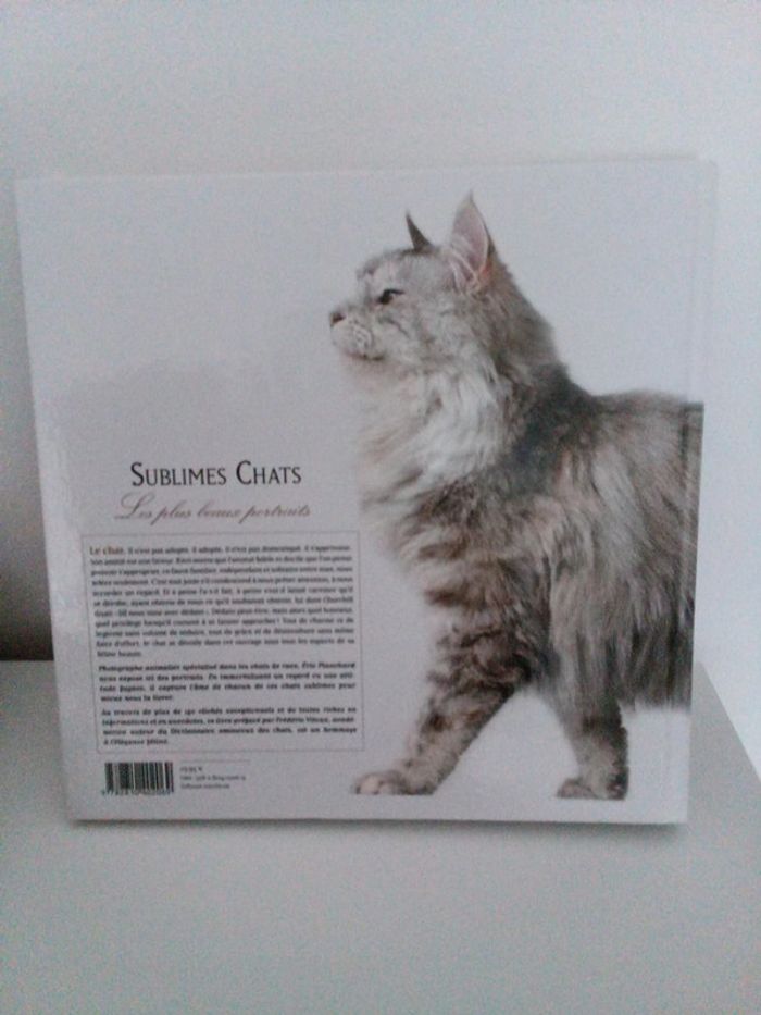 Sublimes chats - photo numéro 2