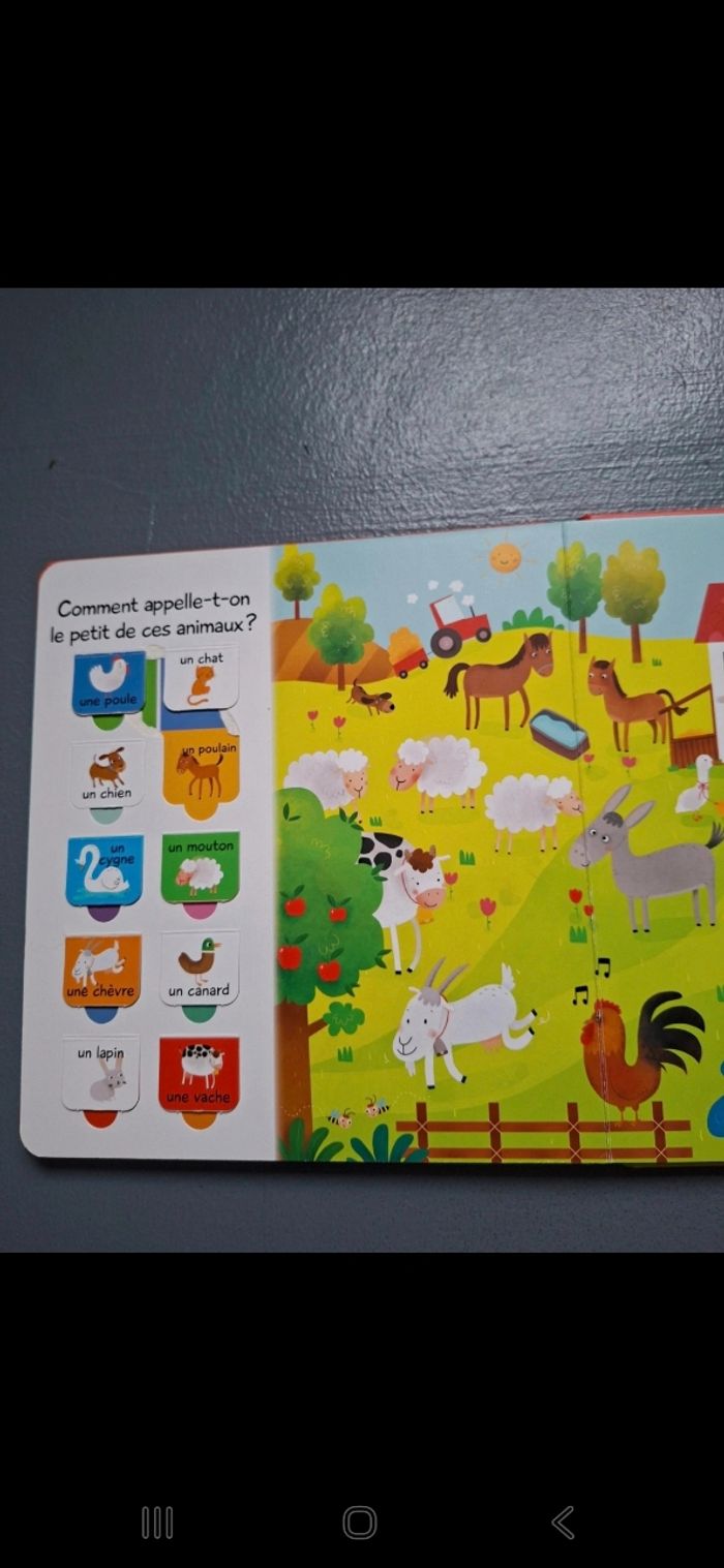 Livre à rabats - photo numéro 8