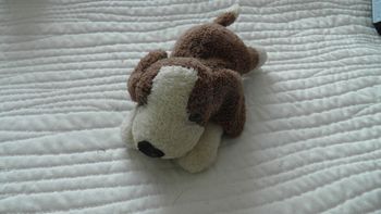 Petite peluche chien