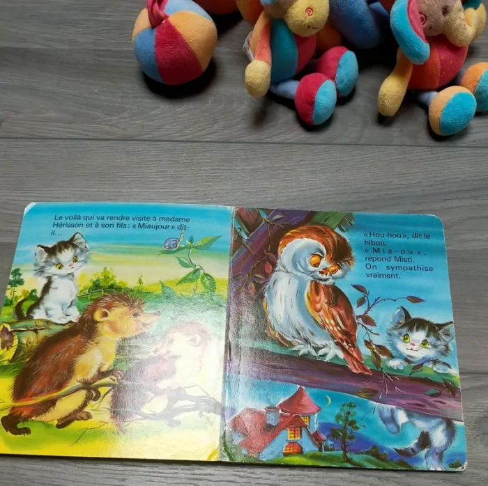 Livre Misti le chat curieux - photo numéro 2