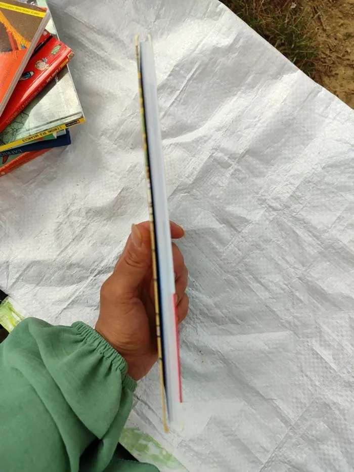 L'école de la rue qui monte, la plus belle toile - photo numéro 3