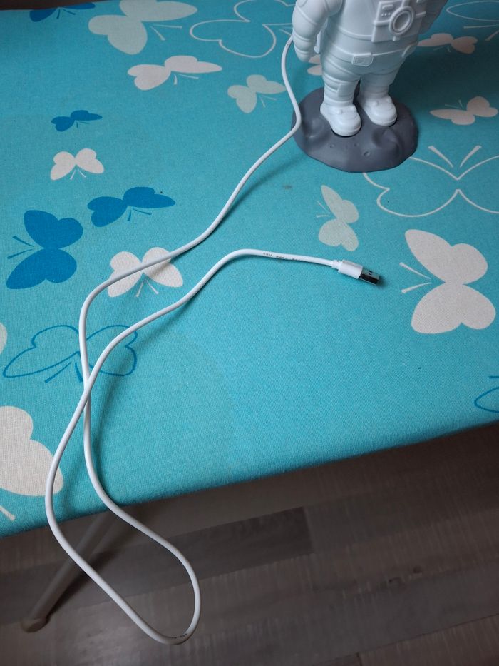 Veilleuse - photo numéro 4