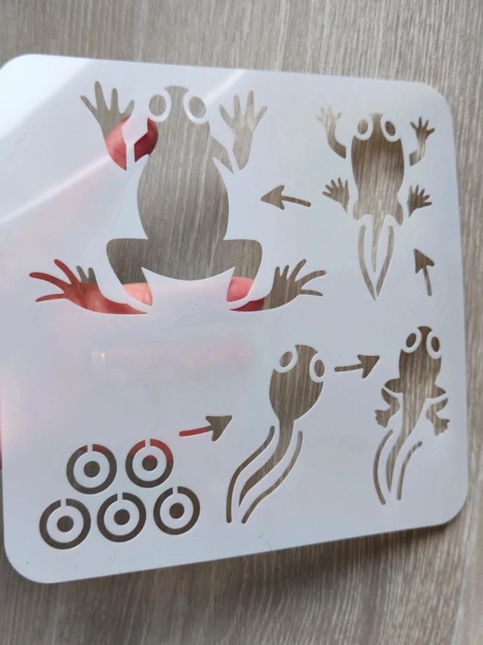 Pochoir du cycle de vie de la grenouille - photo numéro 2