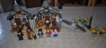 Lego Harry Potter 75947