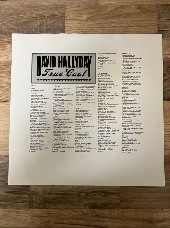 Vinyle 33 tours-David Hallyday-True Cool - photo numéro 3