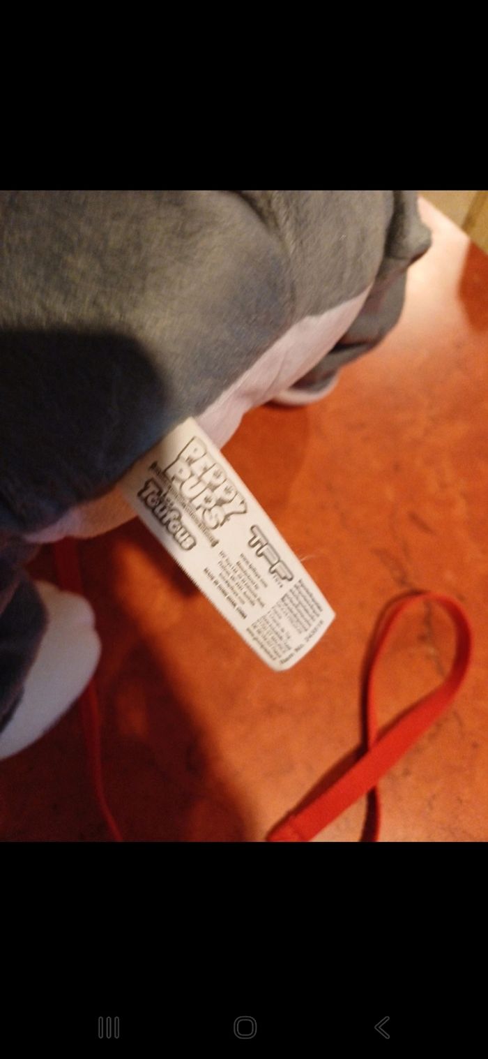 Chien bulldog gris toufous - photo numéro 4