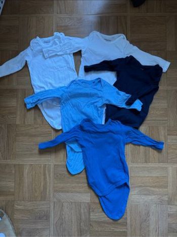 Lot de 5 body Lupilu 2/6 mois