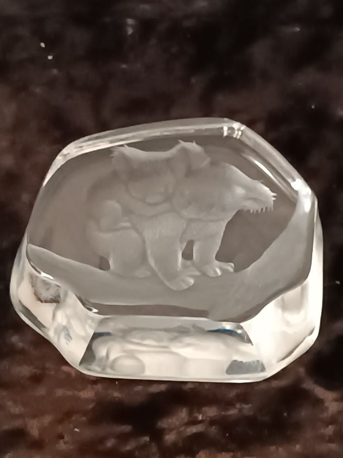 Koalas cristal - photo numéro 9