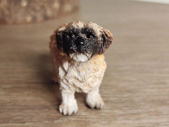 Schleich figurine chien pékinois carlin animal domestique