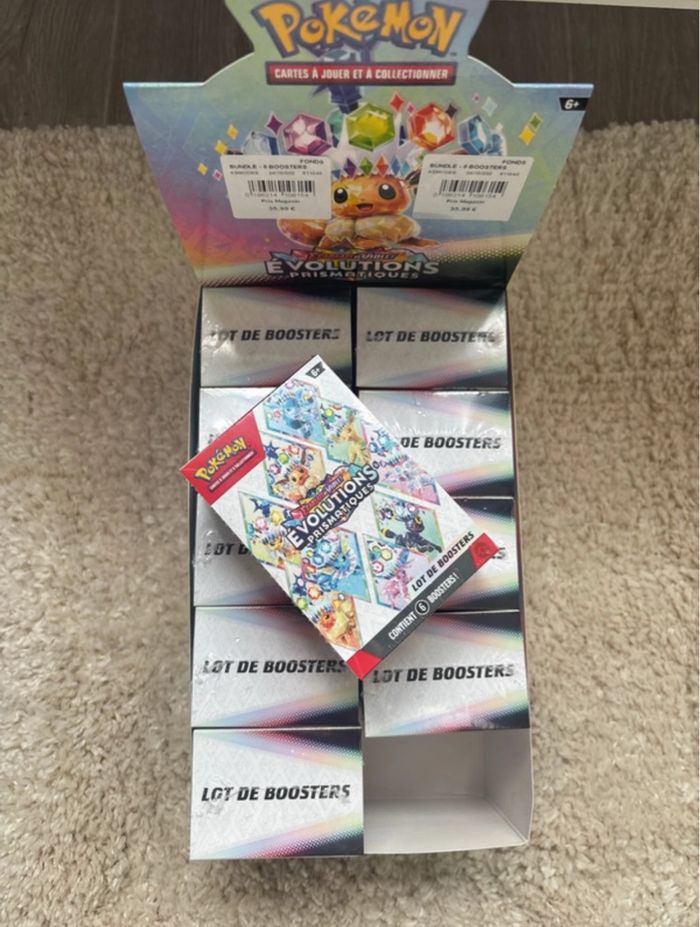 Display Bundle Pokémon EV8.5
