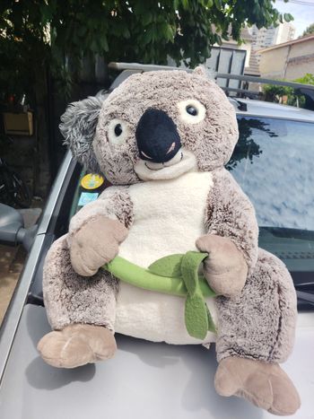 Peluche koala
