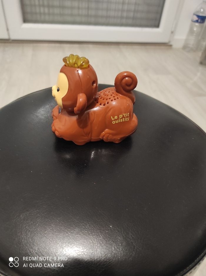 Tut tut Animo le petit ouistiti - photo numéro 2