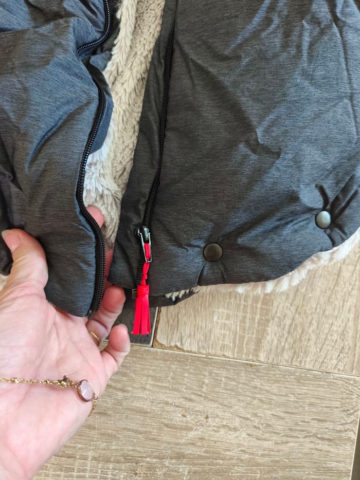 Chancelière d'hiver - photo numéro 3