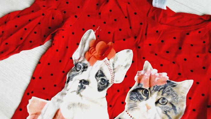 Vêtement fille tee-shirt manches longues rouge à pois motif chat et chien C&A 12 ans - photo numéro 2