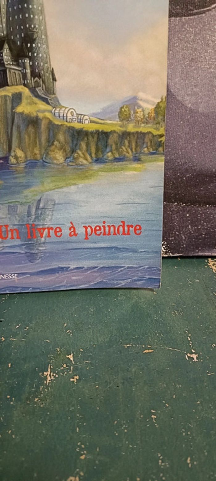 Livre coloriage Harry Potter - photo numéro 4