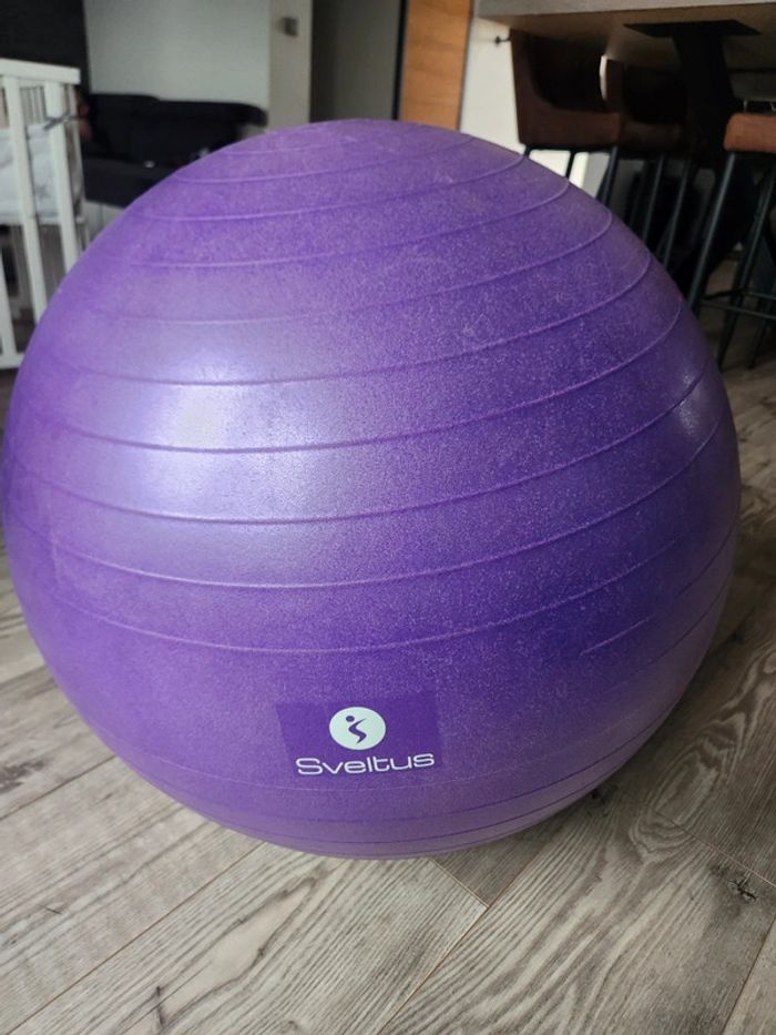 Ballon de Gym