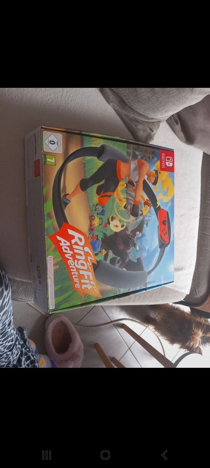 Jeu ringfit adventure