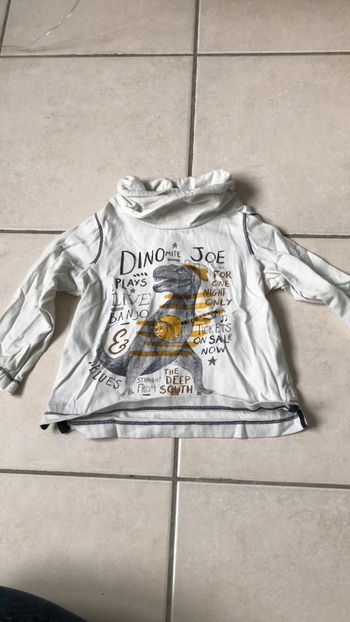 Tee shirt manches longues 23 mois dinosaures