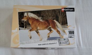 Puzzle 100 pièces  cheval dans la neige
