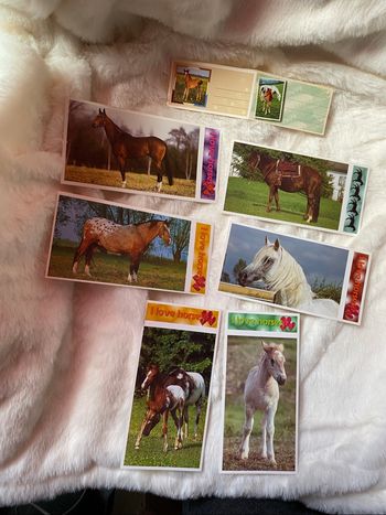 Lot de Stickers chevaux