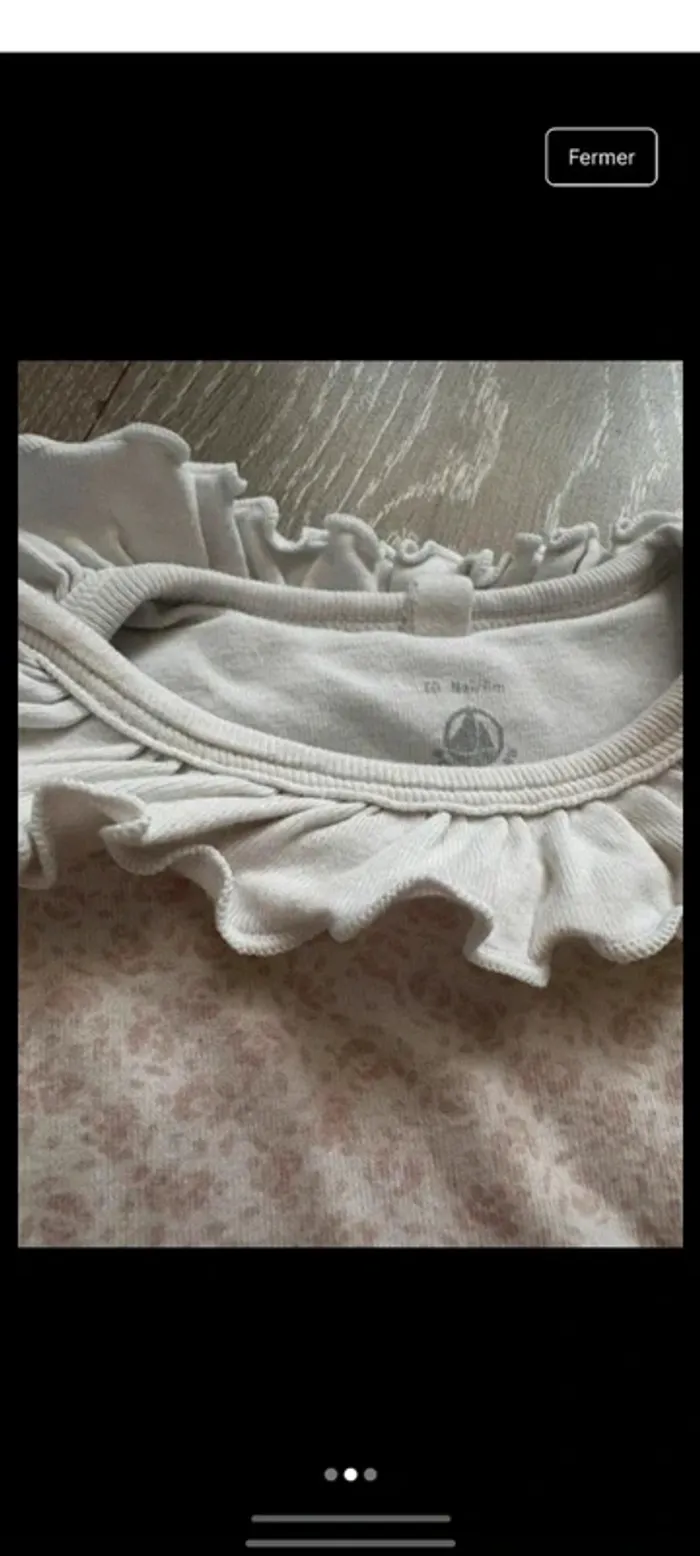 Gigoteuse fleurie - photo numéro 2