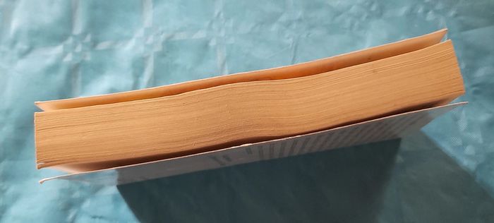 Le juge d'Egypte T2 La loi du désert de Christian Jacq Ed. Pocket - photo numéro 4