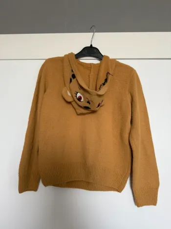 Pull capuche animal