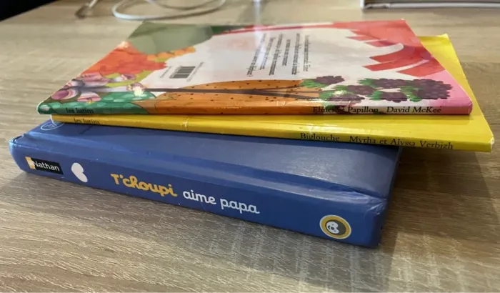 Lot 3 livres - photo numéro 3