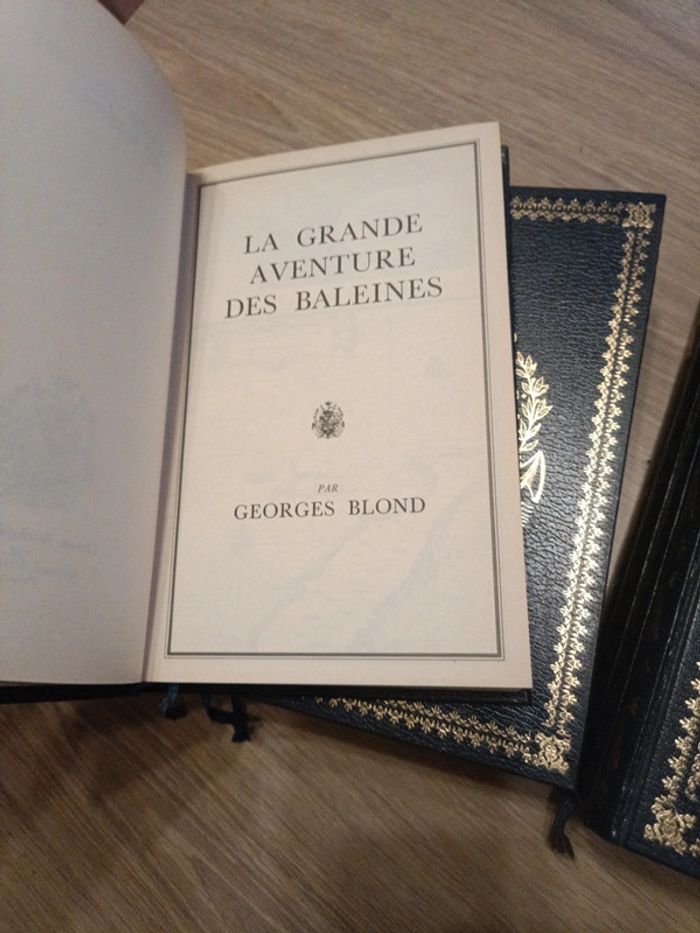 Collection de livres classiques dédiés à la mer - photo numéro 7