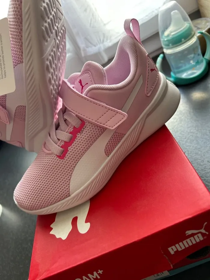 Puma roses - photo numéro 2