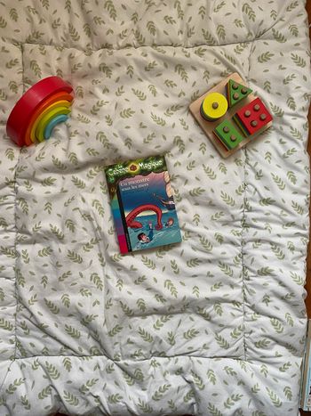 livre la cabane magique un monstre sous les mers tome 34